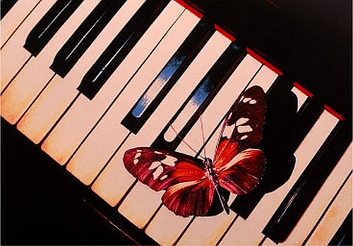 From Caterpillar to Butterfly, Assaria Voices - eine musikalisch-literarische Reise von der Raupe zum Schmetterling